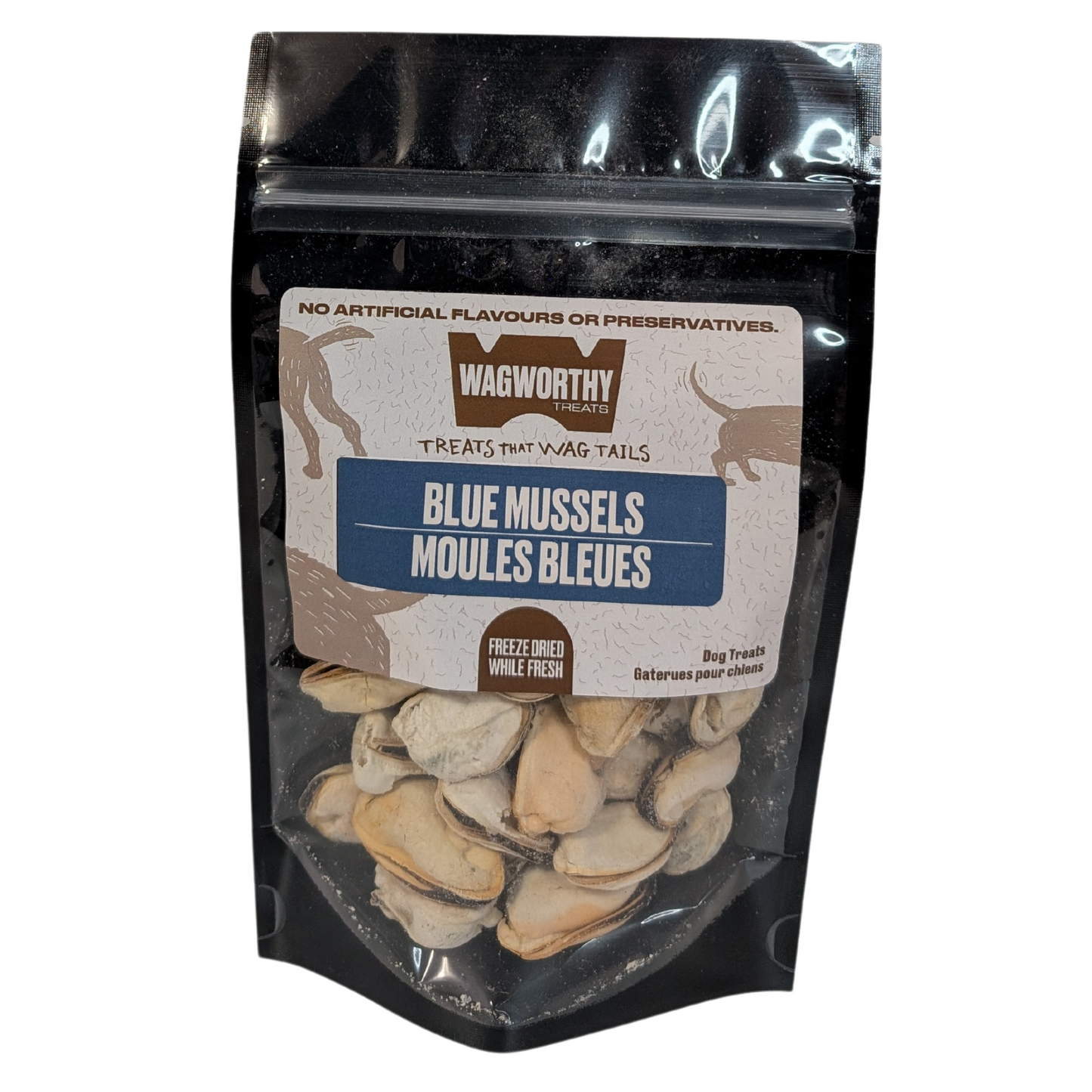 Blue Mussels